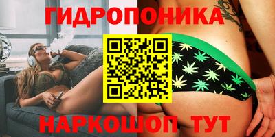гидропоника Будённовск