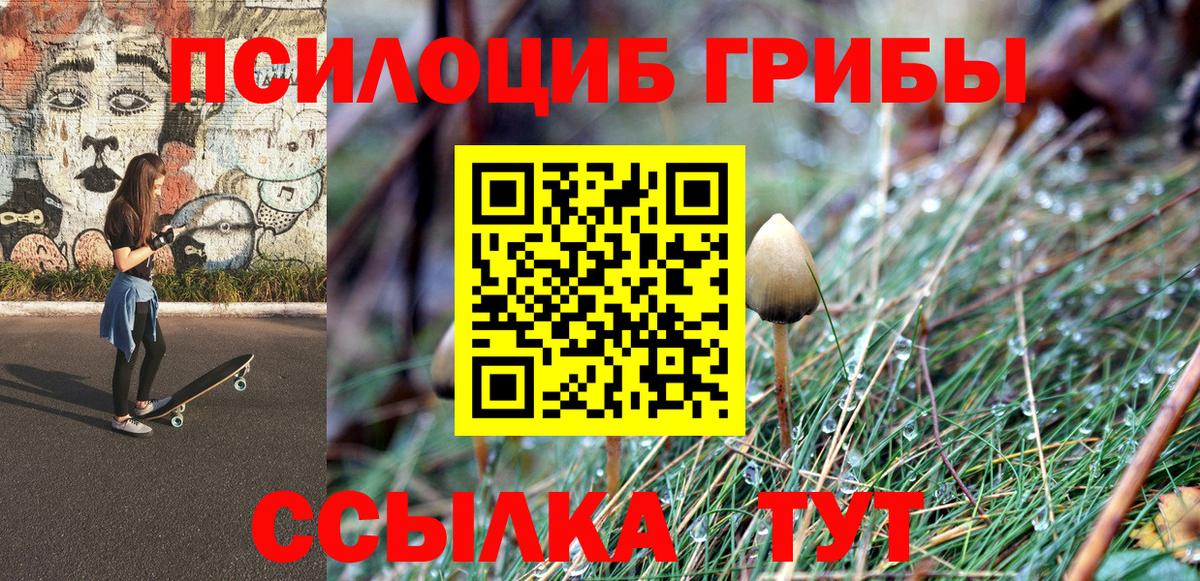 где можно купить наркотик  Псилоцибиновые грибы прущие грибы  Псилоцибиновые грибы мухоморы  Вход с VPN  Коммунар 