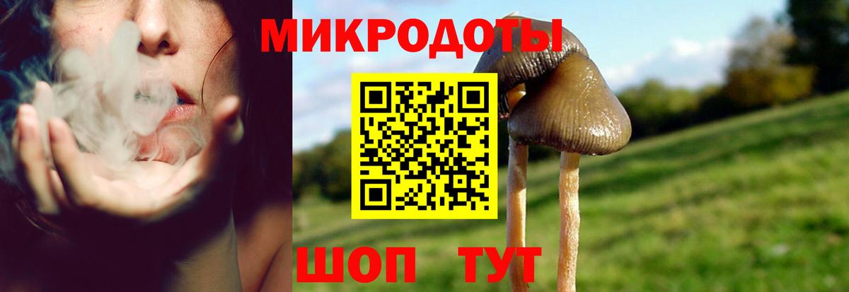 Галлюциногенные грибы мицелий Коммунар